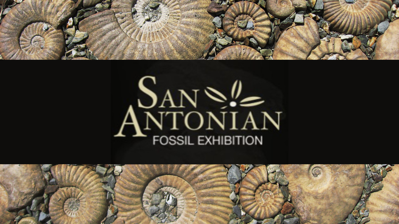  A banner with text "San Antonian Fossil Exhibition" on a black background with ammonite fossils.